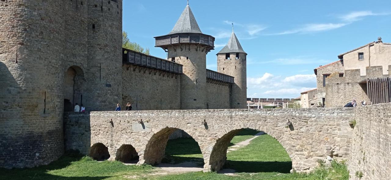 La Douce Cathare Apartment Carcassonne Ngoại thất bức ảnh